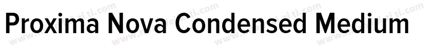 Proxima Nova Condensed Medium Itali字体转换